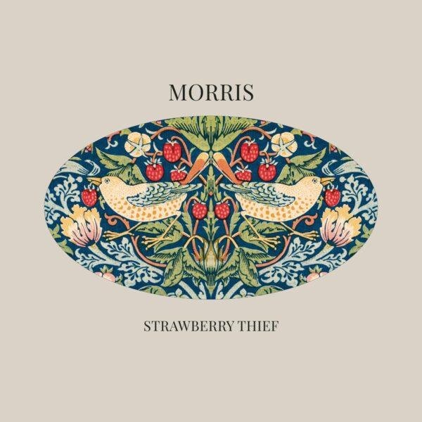 il_fullxfull.6950248491_11f7.jpg Strawberry Thief T-Shirt, William Morris Botanical Art, Nature Shirt