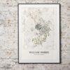 Wild Tulip (10) William Morris Art Print - Wild Tulip, Victorian Decor, Modern Farmhouse, Gallery Matte
